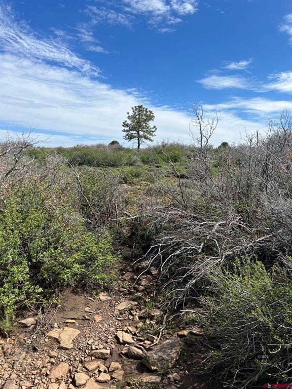 Lot 30 County Road C-3