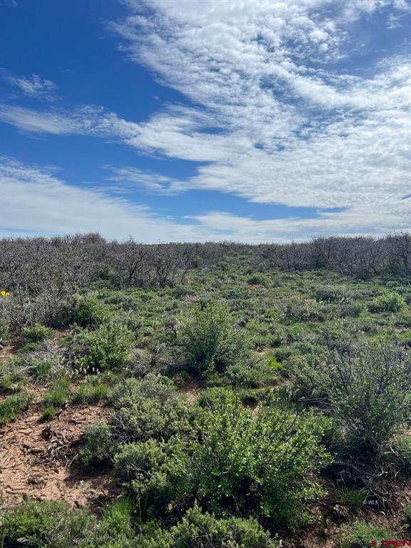 Lot 30 County Road C-3