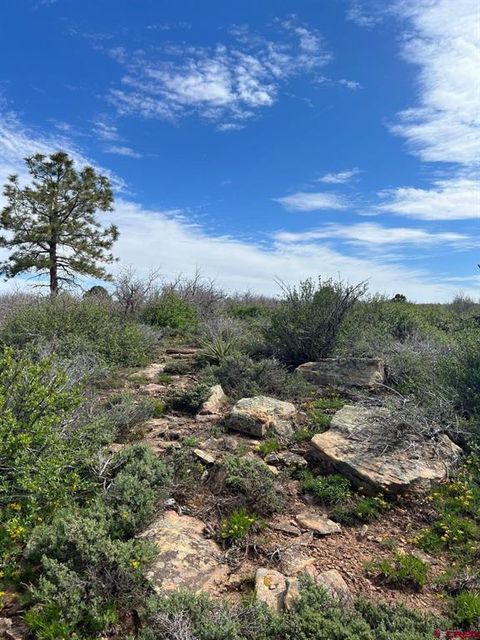 Lot 30 County Road C-3 Dove Creek CO 81324