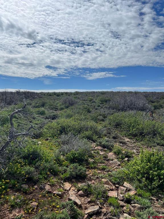 Lot 30 County Road C-3