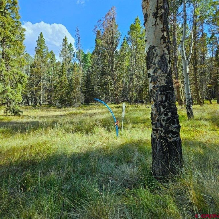 282 Aspen Trail