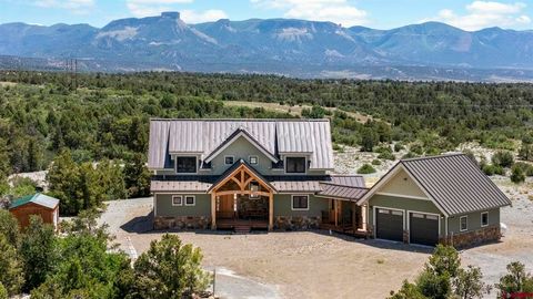 34958 Road P.2 Loop Mancos CO 81328
