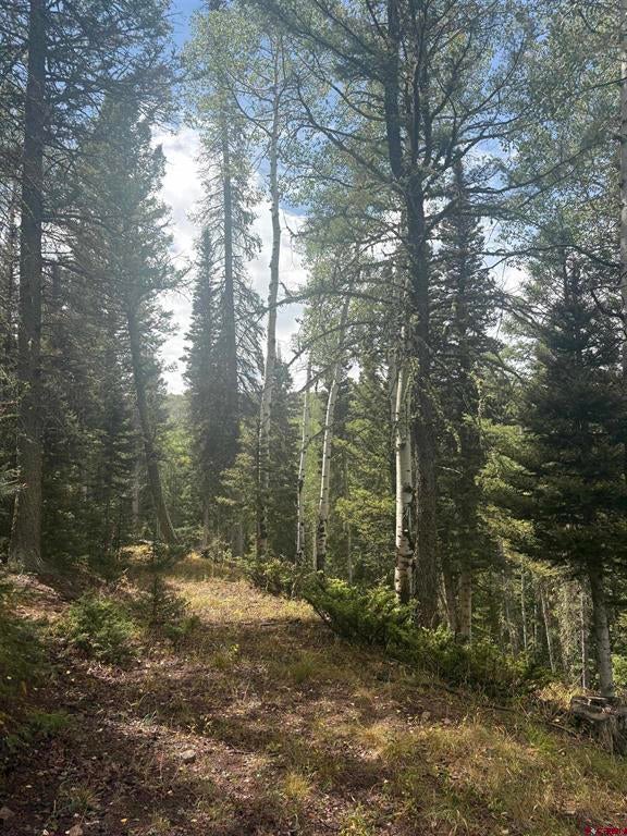 425 Rim Road