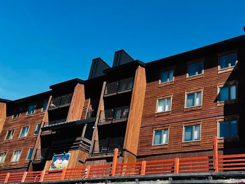 32 Hunter Hill Road B-202 & B-203 Mt. Crested Butte CO 81225