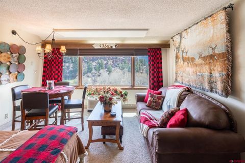 314 N Tamarron Drive 219 Durango CO 81301