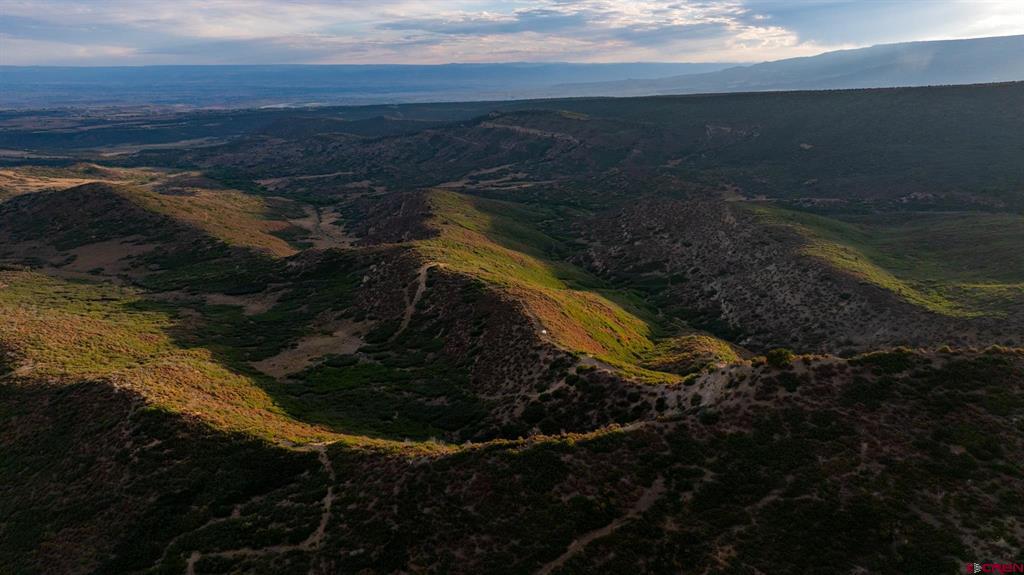 000 Currant Creek Road