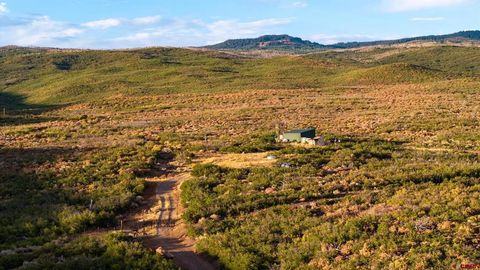 000 Currant Creek Road Cedaredge CO 81413