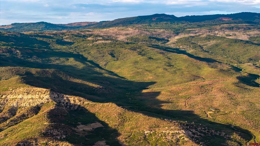 000 Currant Creek Road