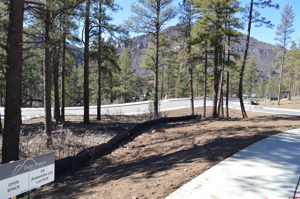 20 Avalanche Lily Dr. (Lot 130)