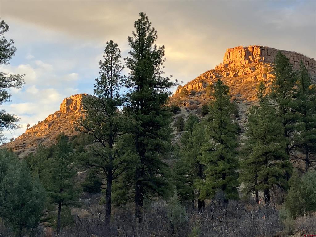 20 Avalanche Lily Dr. (Lot 130)