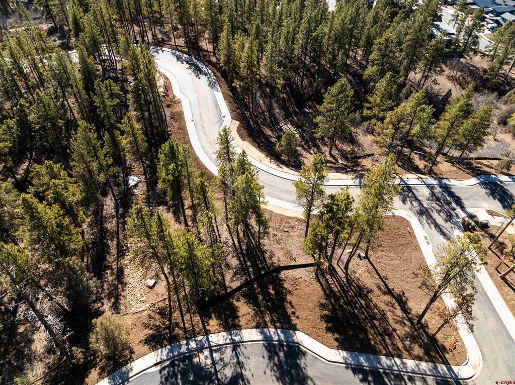 20 Avalanche Lily Dr. (Lot 130)