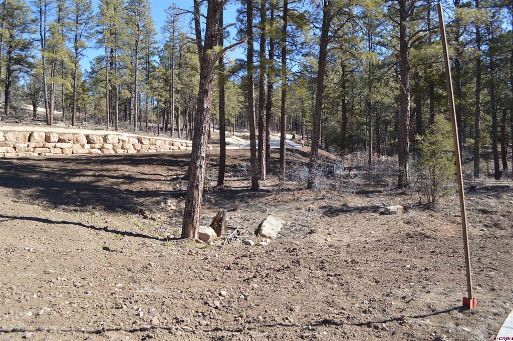 20 Avalanche Lily Dr. (Lot 130)