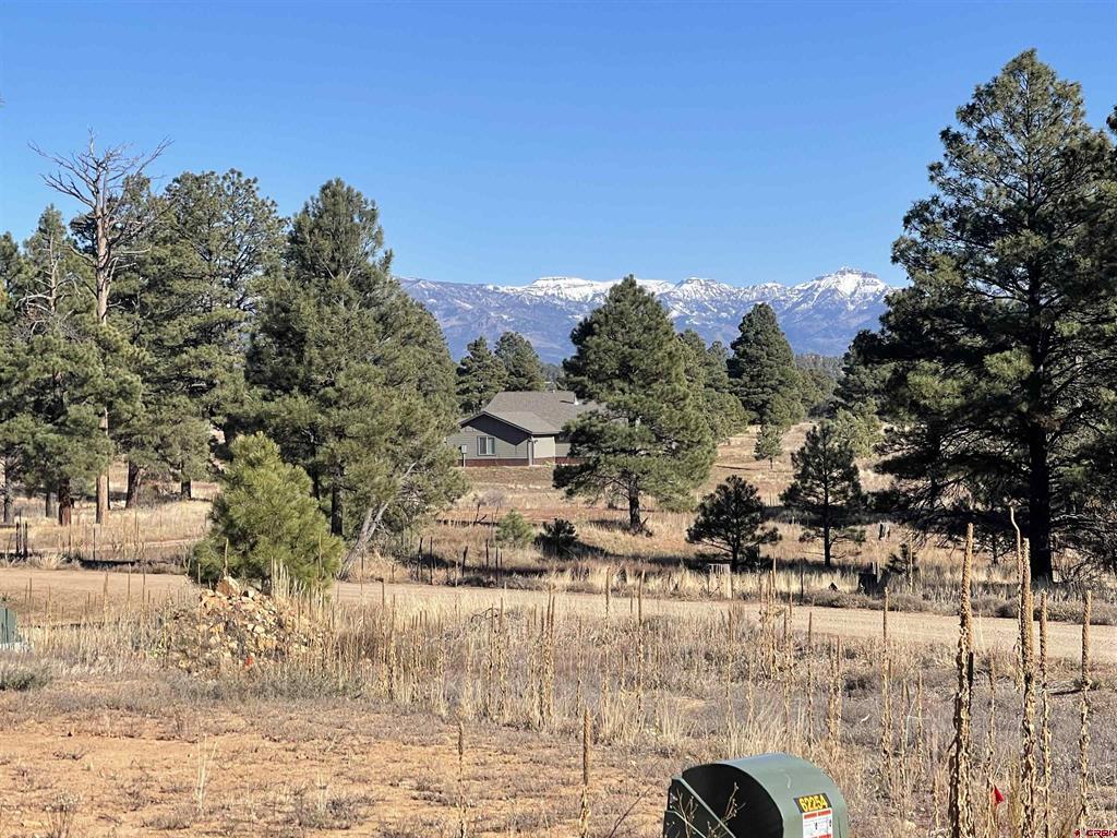 Photo 1 of 9 — 157 Mansions Circle, Pagosa Springs, CO 81147