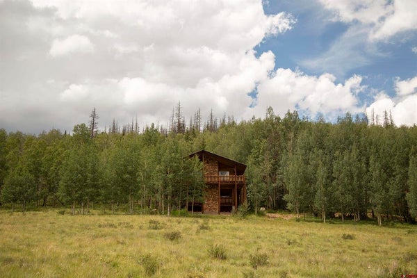 1001 COUNTY RD 17, CREEDE, CO 81130 - Image 6b9f30a2a4e3dde61907af720dcee2a1/3885873729