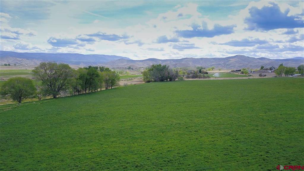 299+ Acres Sunnyside Road