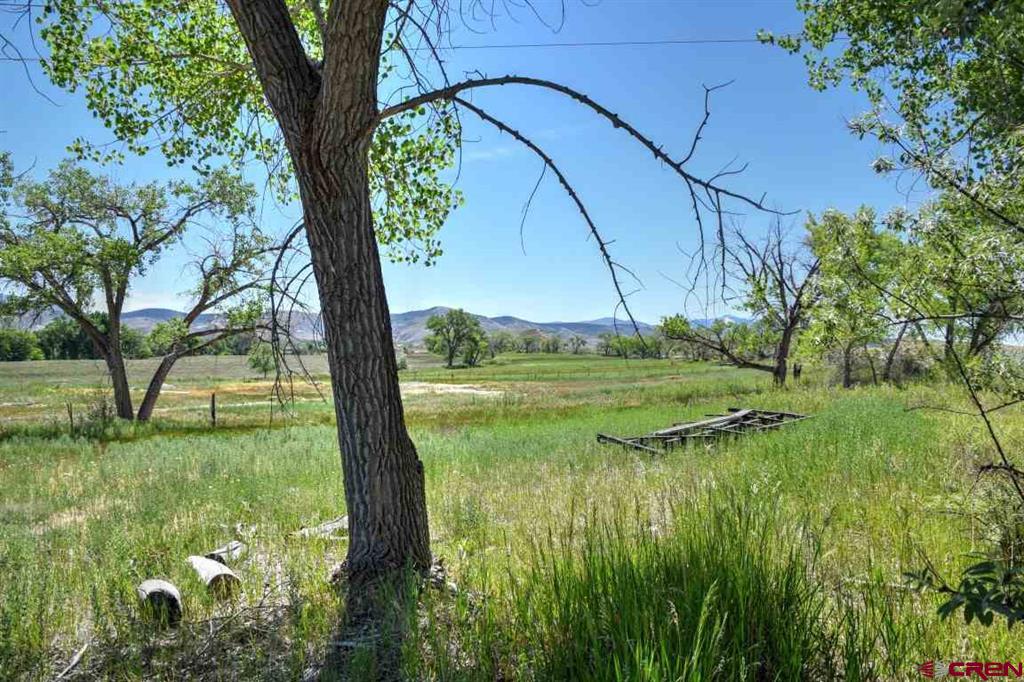 299+ Acres Sunnyside Road