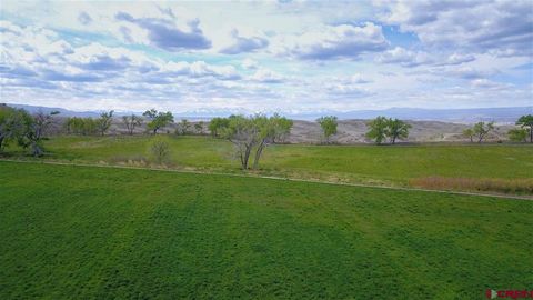 299+ Acres Sunnyside Road Montrose CO 81401