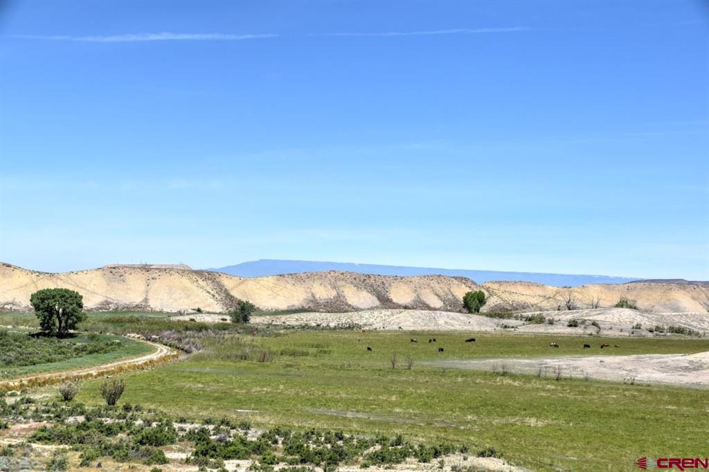 299+ Acres Sunnyside Road