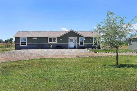 7813 County Road 510 Bayfield CO 81122