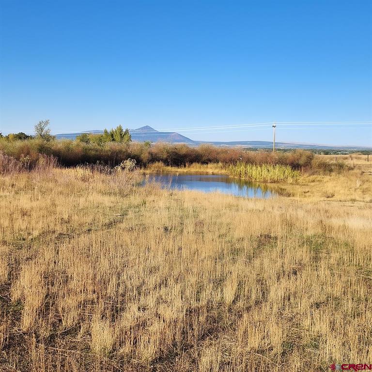 Photo 1 of 13 — TBD Lot 1 Road S, Dolores, CO 81323