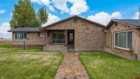 54481 Banner Road Delta CO 81416