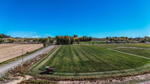 Photo of TBD 5800 Road, Montrose, CO 81403 (MLS # 829010)