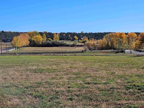 4153 Sunrise Boulevard Durango CO 81303