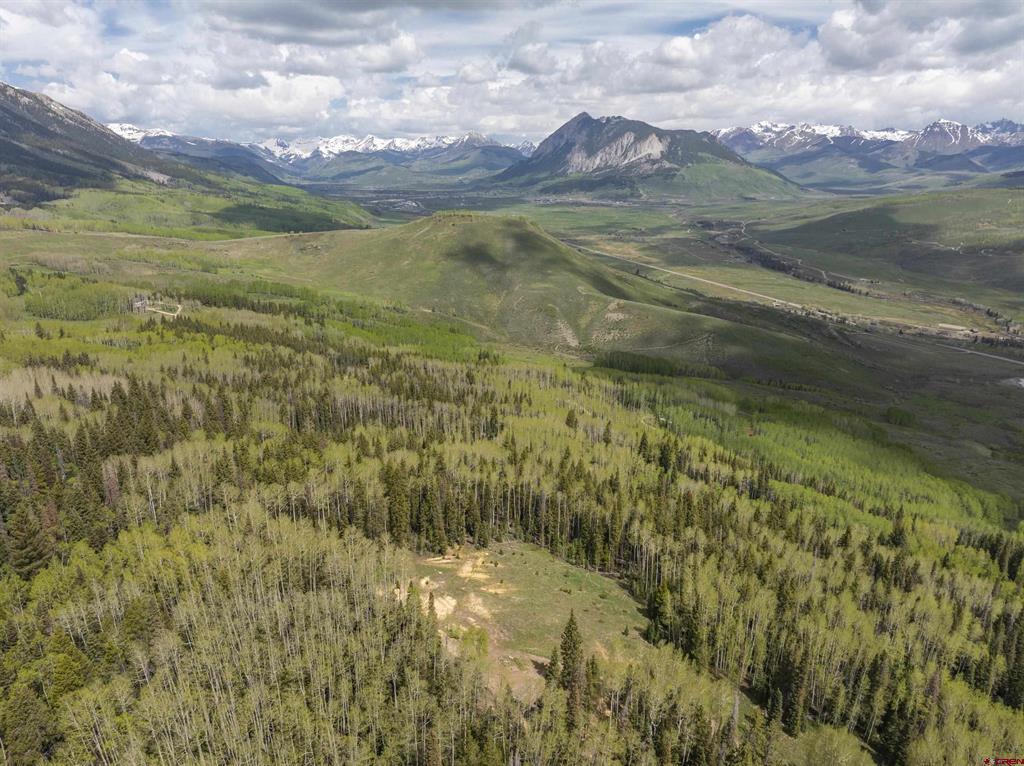141 White Buffalo Trail