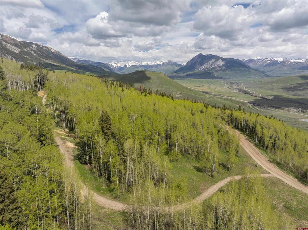141 White Buffalo Trail