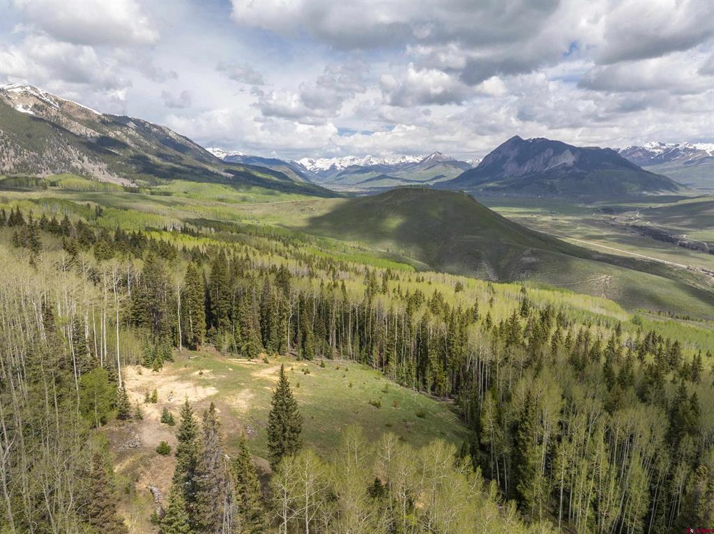 141 White Buffalo Trail