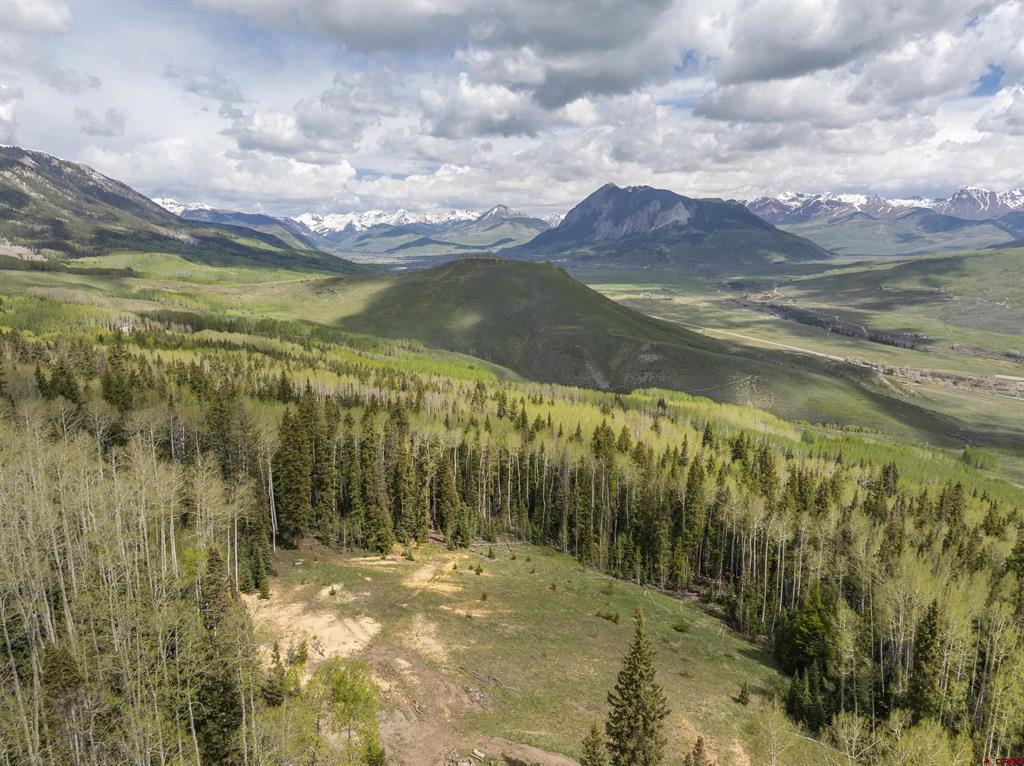 141 White Buffalo Trail