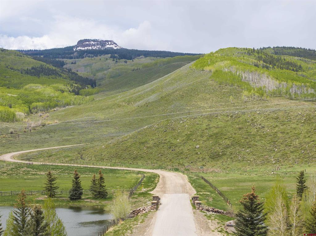 141 White Buffalo Trail
