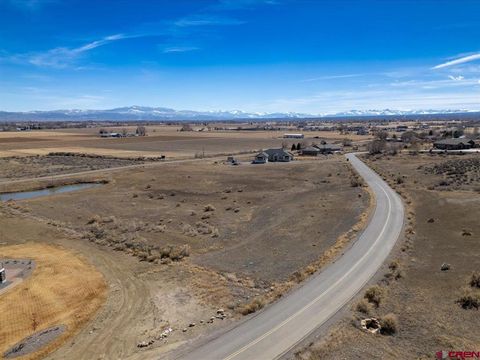 Photo of 59440 Lone Eagle Road, Montrose, CO 81403 (MLS # 834656)