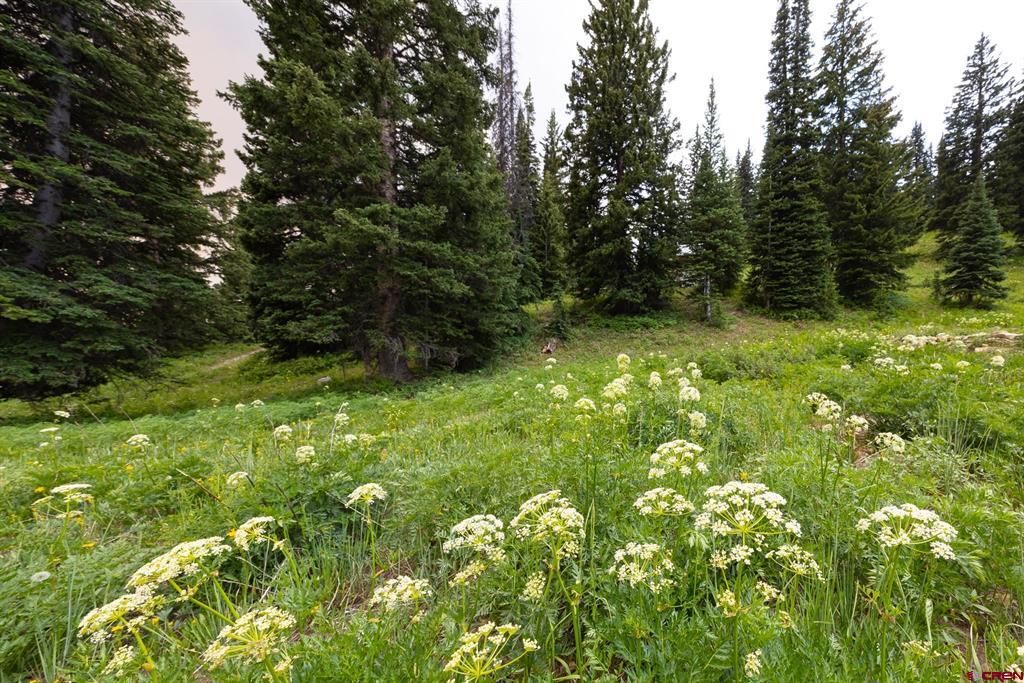 Photo 1 of 10 — 290 7th Street, Crested Butte, CO 81224