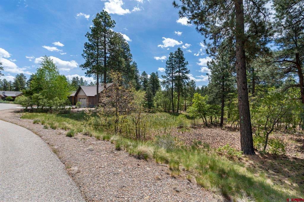 47 Needle Creek Court