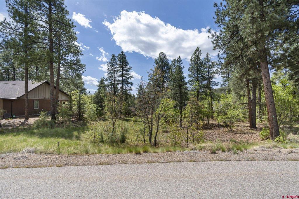47 Needle Creek Court