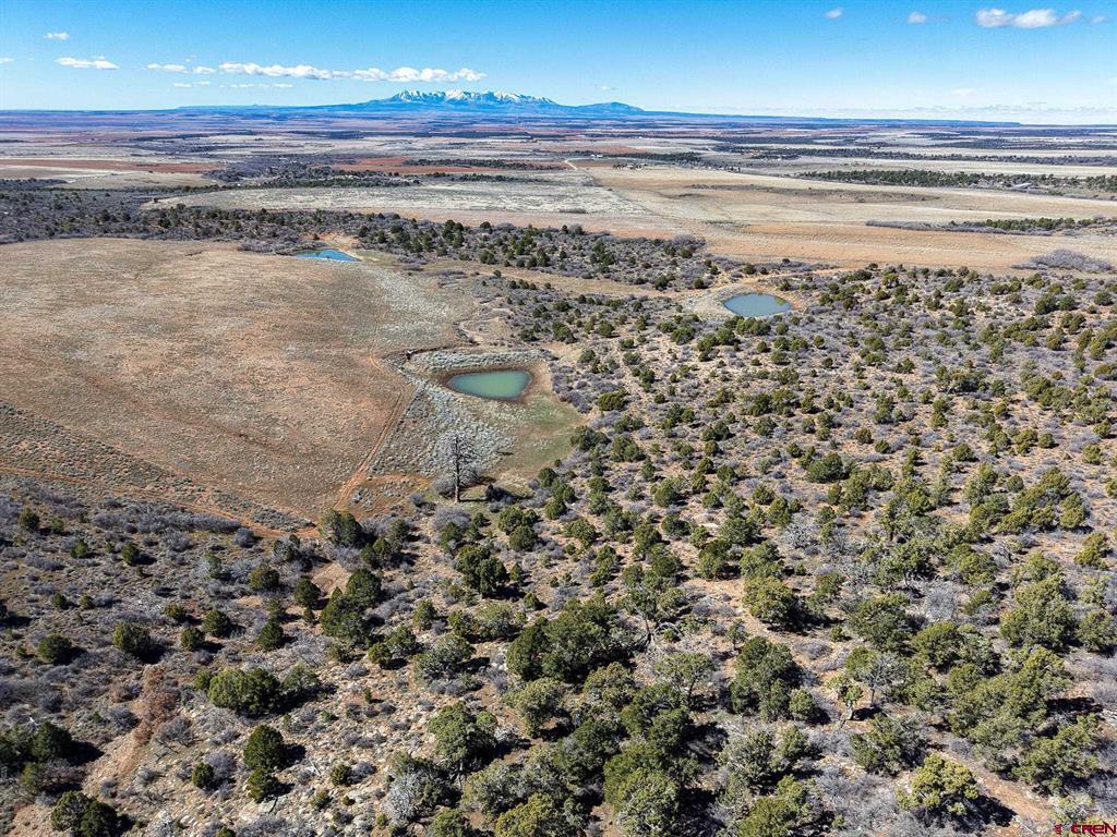 TBDWP County Line Rd