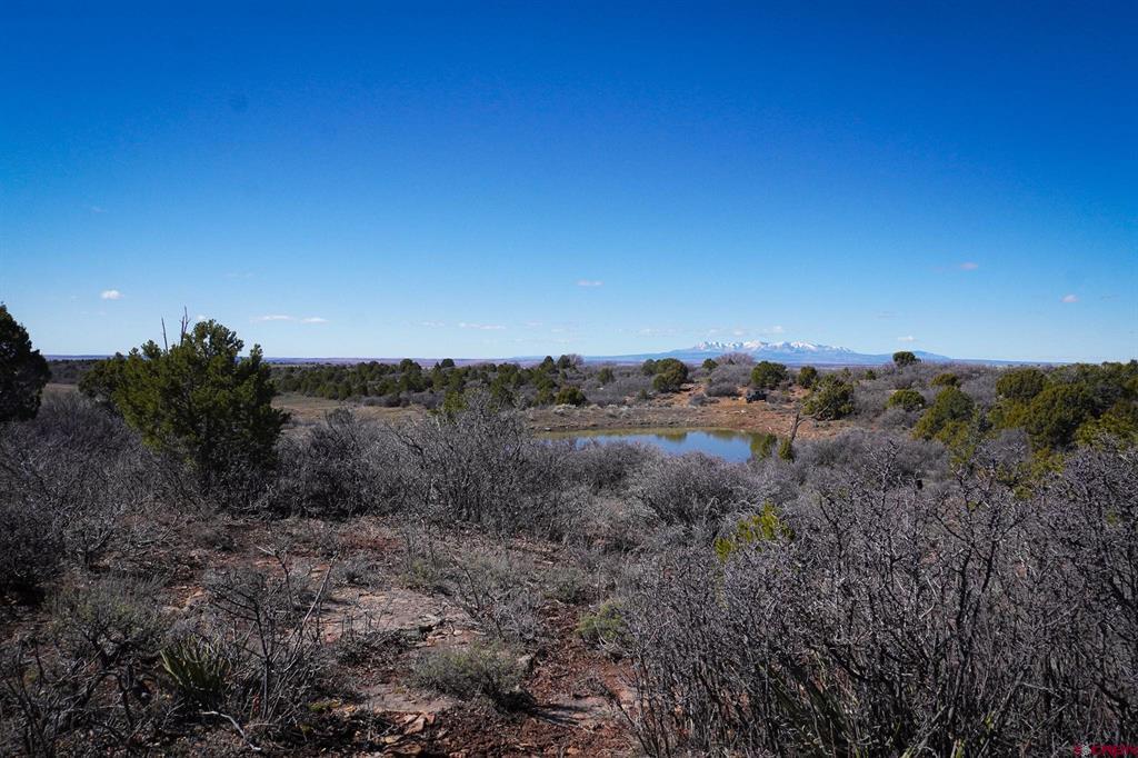 TBDWP County Line Rd