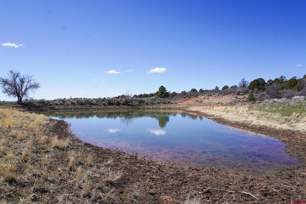 TBDWP County Line Rd