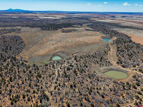 TBDWP County Line Rd Dove Creek CO 81324