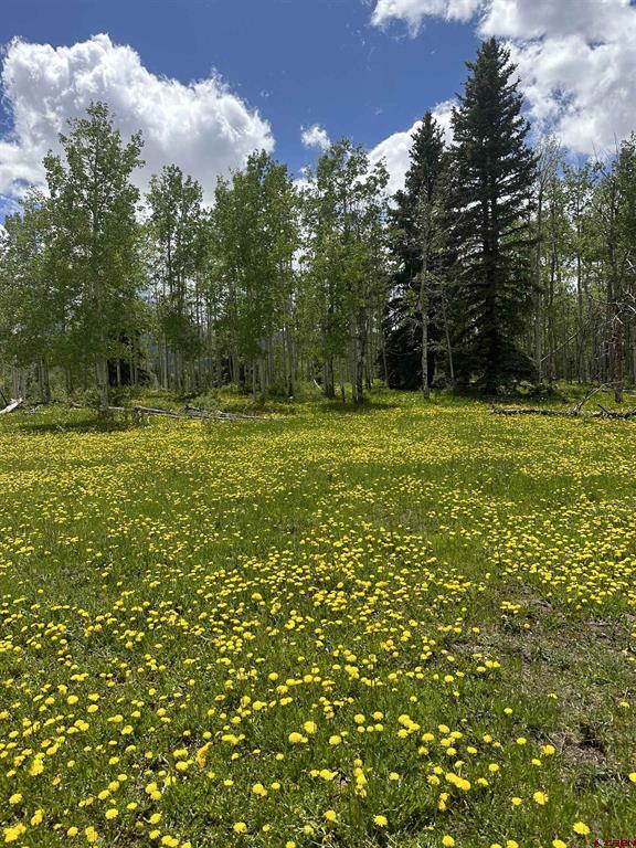 TBD Tract 10 County Road 5