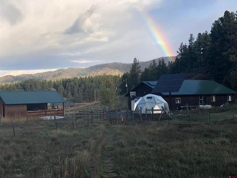 265 Beaver Creek Drive Bayfield CO 81122