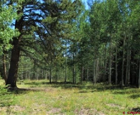 Photo of 202 Hazel Lake Drive, Cimarron, CO 81220 (MLS # 829794)