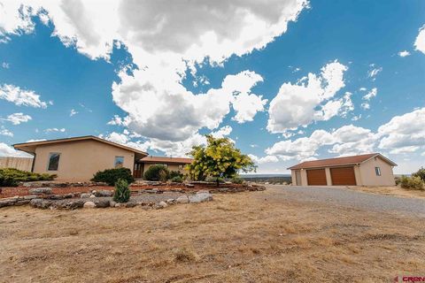 Photo of 70746 Buckhorn Road, Montrose, CO 81403 (MLS # 836807)
