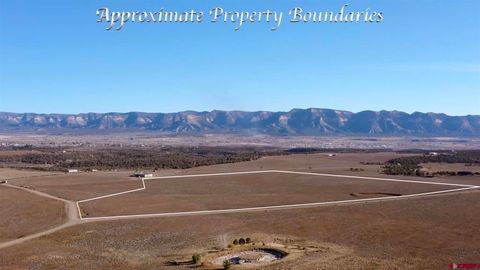 10266 Road 22.6 Cortez CO 81321
