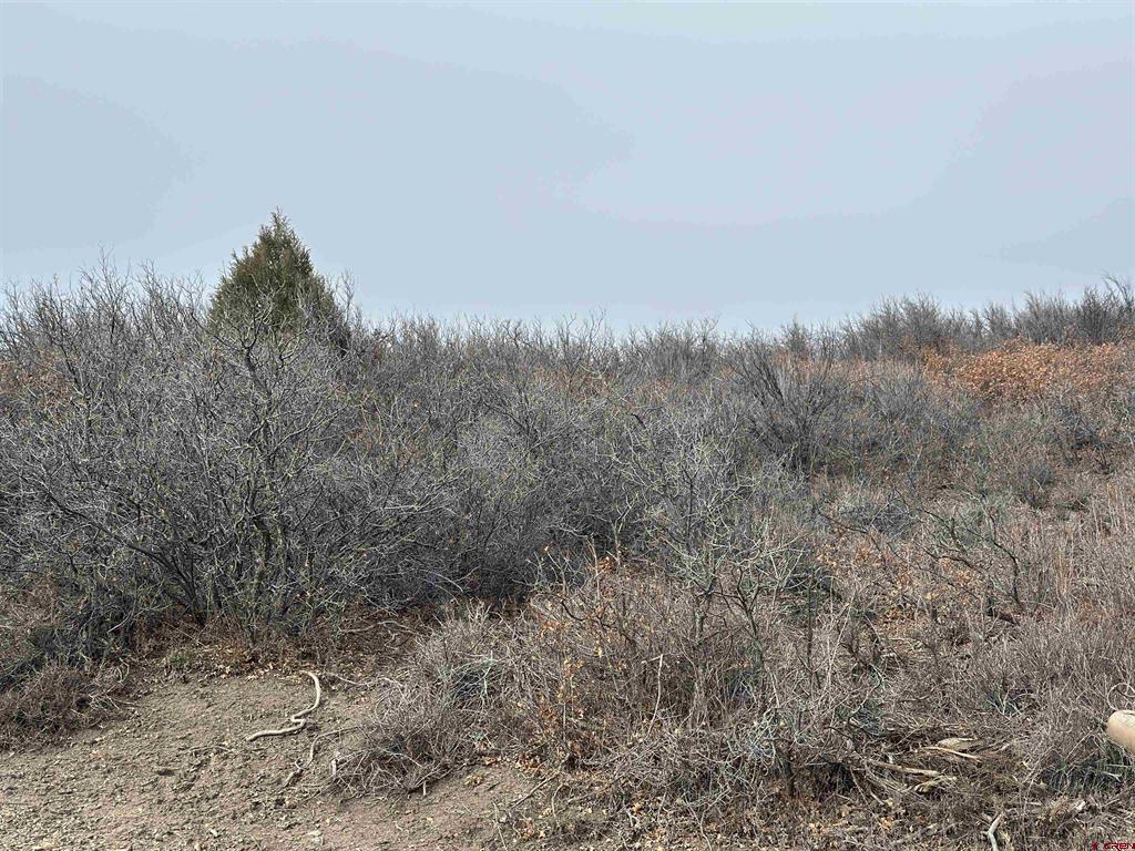 248 Jennifer's Place