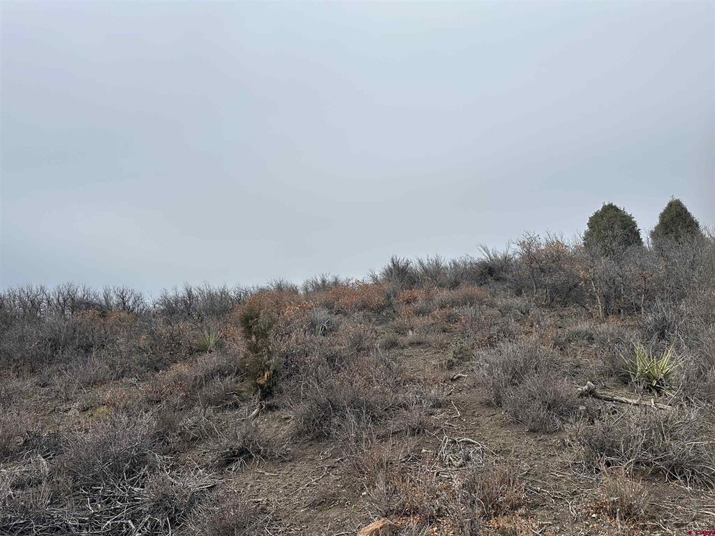 248 Jennifer's Place