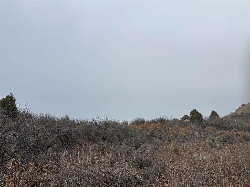 248 Jennifer's Place