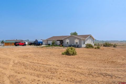 Photo of 2176 1300 Road, Delta, CO 81416 (MLS # 836817)