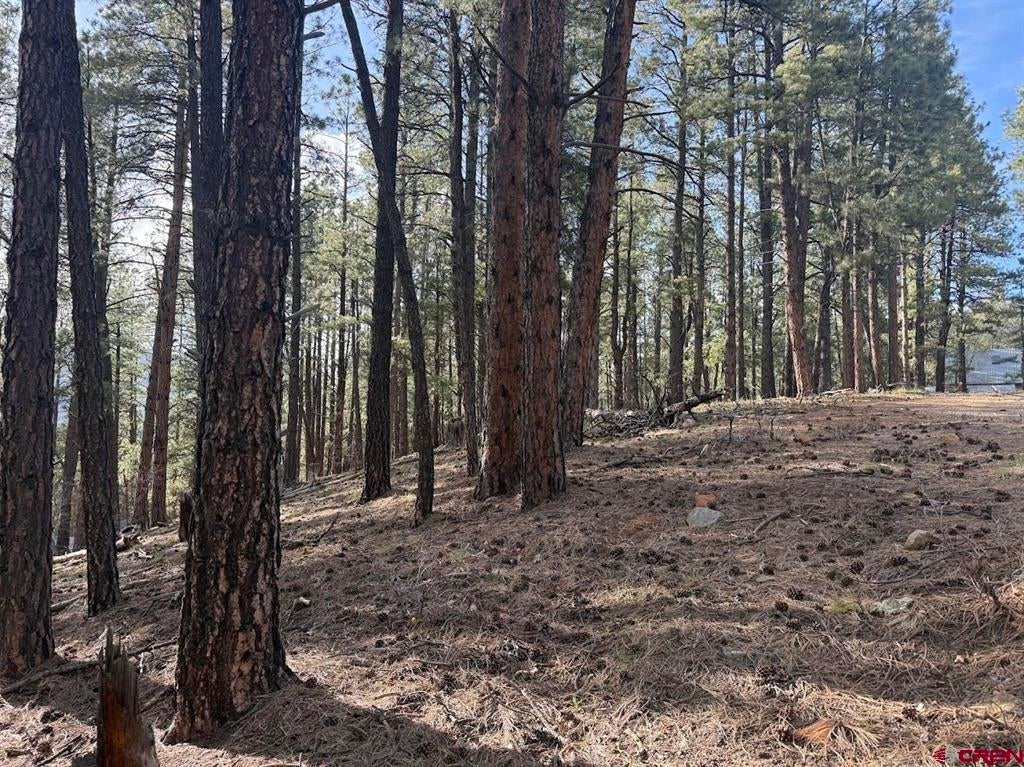 Photo 1 of 4 — 217 Pine Top Drive, Bayfield, CO 81137